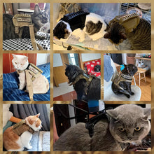 Tactical Cat Harness Adjustable Puppy Vest For Military Small Dogs Harnesses withControl Handle Walking Training Cat Accessories