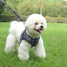 Small Dog Harness Leash Set Cute Traction Bracelet Medium Cat Collar Suit Soft Puppy Vest Harness Adjustable Pet Accessories